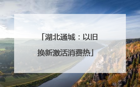 湖北通城：以旧换新激活消费热